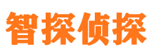 东方侦探